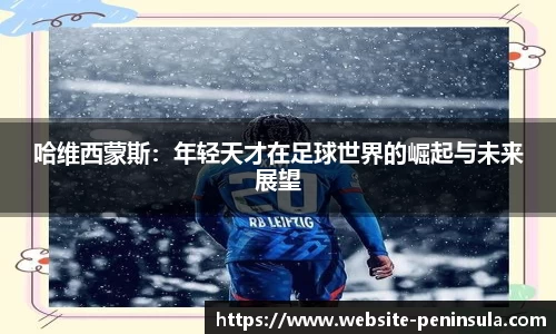 半岛体育